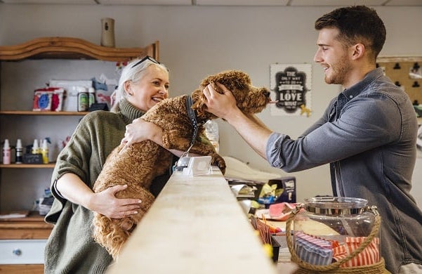 Dog-groomer-business