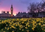 houses of parliament westminster government