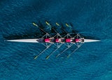 Women's rowing team on blue water, top view