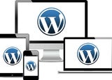 Wordpress Website Costs