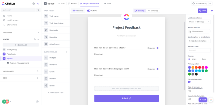 ClickUp project feedback feature