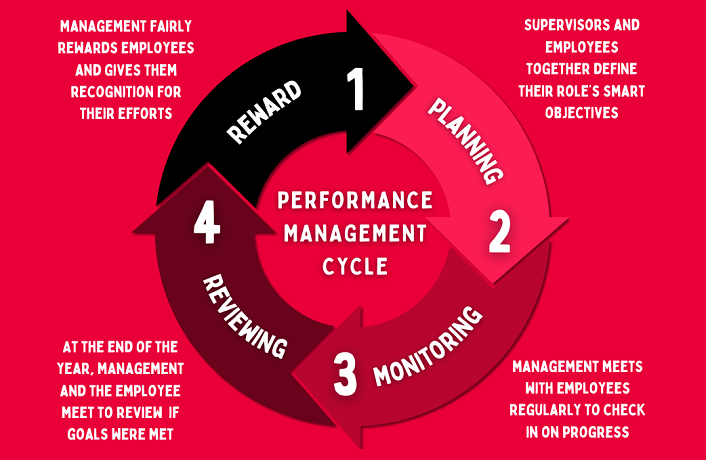 Performance management cycle