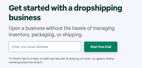 shopify dropshipping exampple